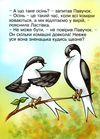 павучок, який не знав осені книга Ціна (цена) 36.50грн. | придбати  купити (купить) павучок, який не знав осені книга доставка по Украине, купить книгу, детские игрушки, компакт диски 3