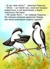 павучок, який не знав осені книга Ціна (цена) 15.60грн. | придбати  купити (купить) павучок, який не знав осені книга доставка по Украине, купить книгу, детские игрушки, компакт диски 3