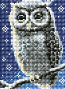 Алмазна мозаїка б/підрамн 15х20 АММ1072 Лісова совушка "Ідейка"