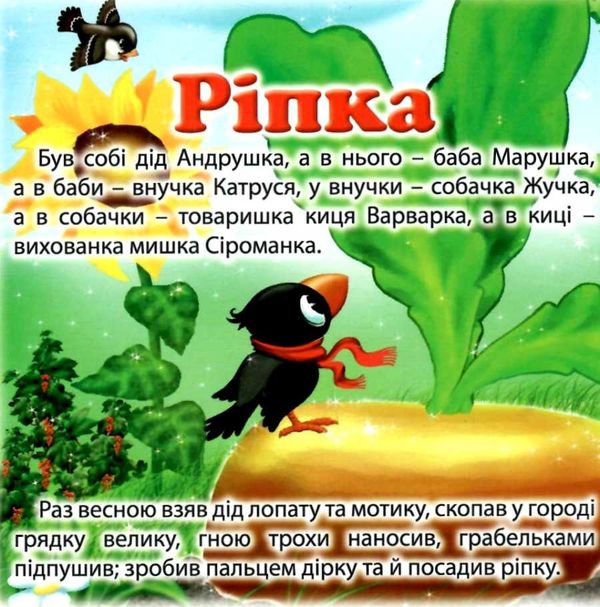 ріпка книга картонка купити   ціна формат А6 Ціна (цена) 53.80грн. | придбати  купити (купить) ріпка книга картонка купити   ціна формат А6 доставка по Украине, купить книгу, детские игрушки, компакт диски 2