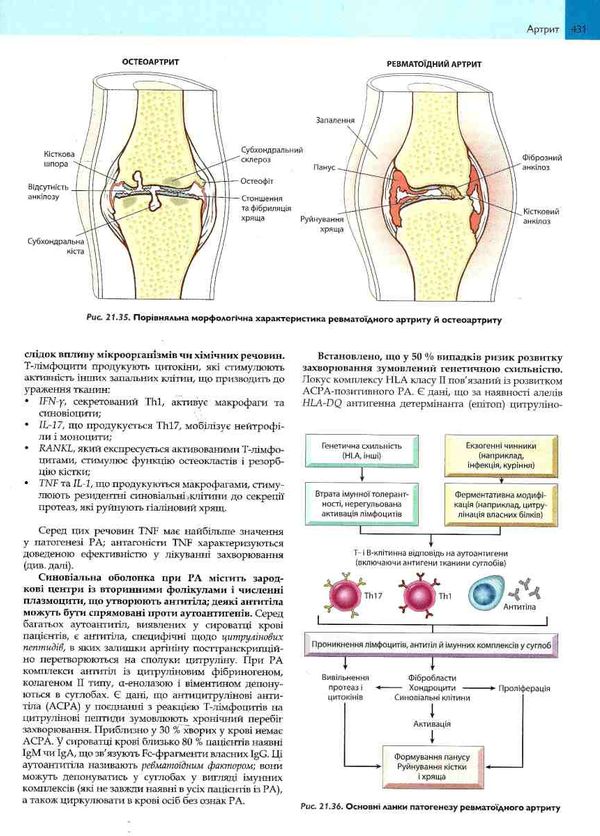 основи патології за роббінсом у 2х томах том 2 книга    Медицина Ціна (цена) 964.30грн. | придбати  купити (купить) основи патології за роббінсом у 2х томах том 2 книга    Медицина доставка по Украине, купить книгу, детские игрушки, компакт диски 5