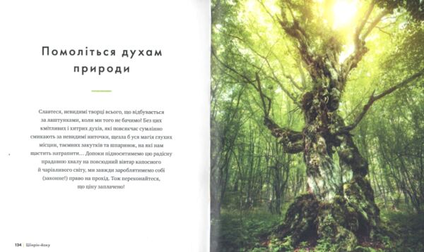 Шінрін-йоку Цілюще мистецтво лісотерапії Ціна (цена) 410.20грн. | придбати  купити (купить) Шінрін-йоку Цілюще мистецтво лісотерапії доставка по Украине, купить книгу, детские игрушки, компакт диски 4