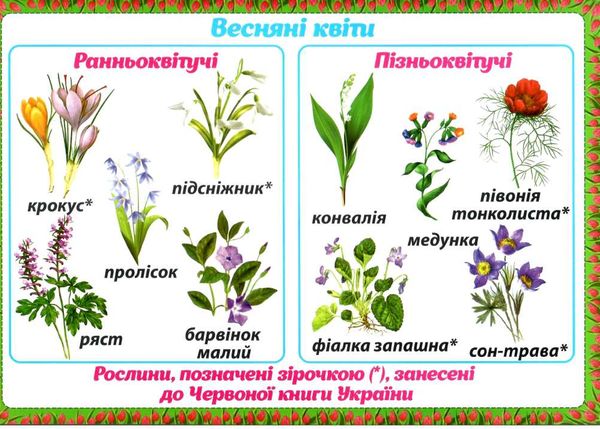 комплект наочності демонстраційний матеріал весняні спостереження Ціна (цена) 89.78грн. | придбати  купити (купить) комплект наочності демонстраційний матеріал весняні спостереження доставка по Украине, купить книгу, детские игрушки, компакт диски 2