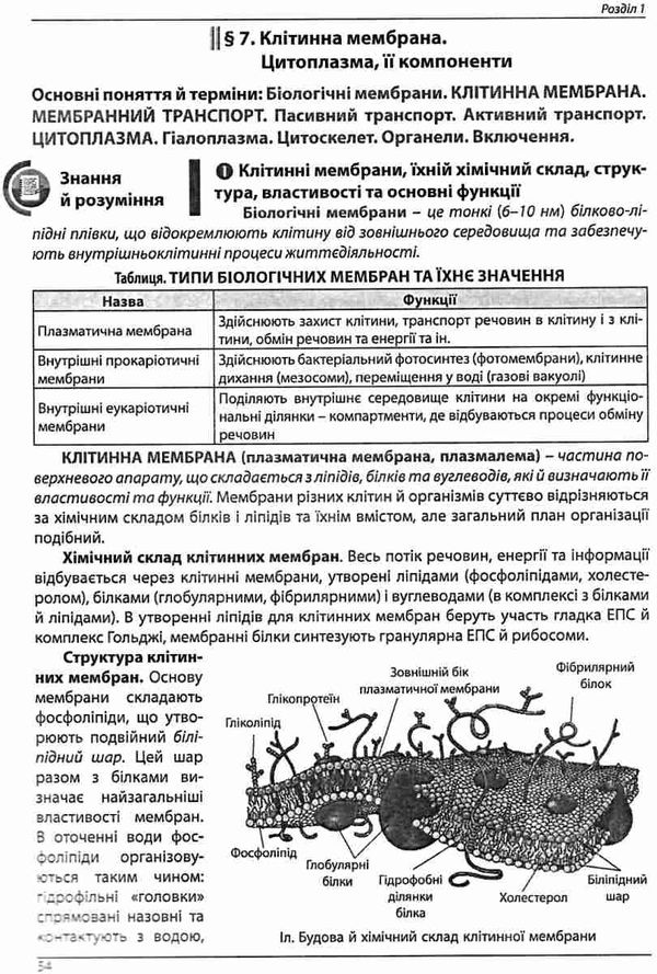 зно 2024 біологія довідник з тестами повний повторювальний курс Ціна (цена) 230.70грн. | придбати  купити (купить) зно 2024 біологія довідник з тестами повний повторювальний курс доставка по Украине, купить книгу, детские игрушки, компакт диски 6