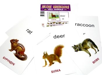 картки міні лісові мешканці Wild animals картки міні лісові мешканці Wild animals