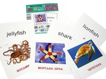 картки міні морські жителі Sea animals картки міні морські жителі Sea animals