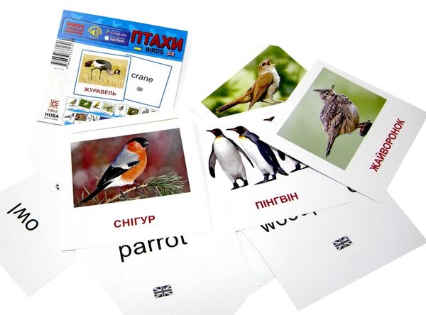 картки міні птахи Birds Ціна (цена) 13.40грн. | придбати  купити (купить) картки міні птахи Birds доставка по Украине, купить книгу, детские игрушки, компакт диски 1