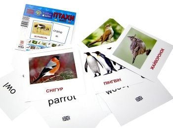 картки міні птахи Birds картки міні птахи Birds
