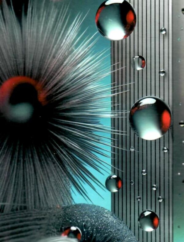 блокнот  а6 тверда обкладинка в клітинку 160 аркушів в асортименті Ціна (цена) 21.30грн. | придбати  купити (купить) блокнот  а6 тверда обкладинка в клітинку 160 аркушів в асортименті доставка по Украине, купить книгу, детские игрушки, компакт диски 4