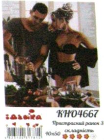 картина по номерам идейка   розпис по номерах ідейка  артикул КНО4667 пристраст
