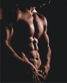 картина по номерам идейка   розпис по номерах ідейка  артикул КНО4530 жіноча сп