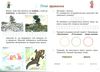 мистецтво 3 клас мої перші творчі кроки робочий зошит Ціна (цена) 104.00грн. | придбати  купити (купить) мистецтво 3 клас мої перші творчі кроки робочий зошит доставка по Украине, купить книгу, детские игрушки, компакт диски 2