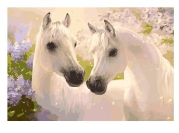 картина по номерам идейка   розпис по номерах ідейка  артикул КНО2433 пара коне