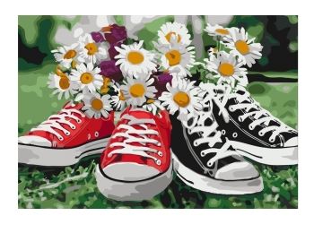 Розпис по номерах 40х50 КНО3073 Незвичне поєднання "Ідейка"