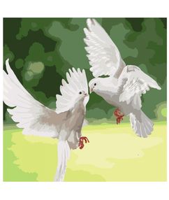 картина по номерам идейка   розпис по номерах ідейка  артикул КНО4149 білосніжн