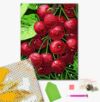 Алмазна мозаїка 25х25 BH022 Соковита вишня brushme Брашми Ціна (цена) 162.50грн. | придбати купити (купить) Алмазна мозаїка 25х25 BH022 Соковита вишня brushme Брашми доставка по Украине, купить книгу, детские игрушки, компакт диски 1 Алмазна мозаїка 25х25 BH022 Соковита вишня brushme Брашми Ціна (цена) 162.50грн. | придбати купити (купить) Алмазна мозаїка 25х25 BH022 Соковита вишня brushme Брашми доставка по Украине, купить книгу, детские игрушки, компакт диски 1