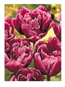 картина по номерам идейка   розпис по номерах ідейка  артикул КНО3057 вишукана