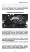 лечимся капустой Ціна (цена) 40.50грн. | придбати  купити (купить) лечимся капустой доставка по Украине, купить книгу, детские игрушки, компакт диски 5