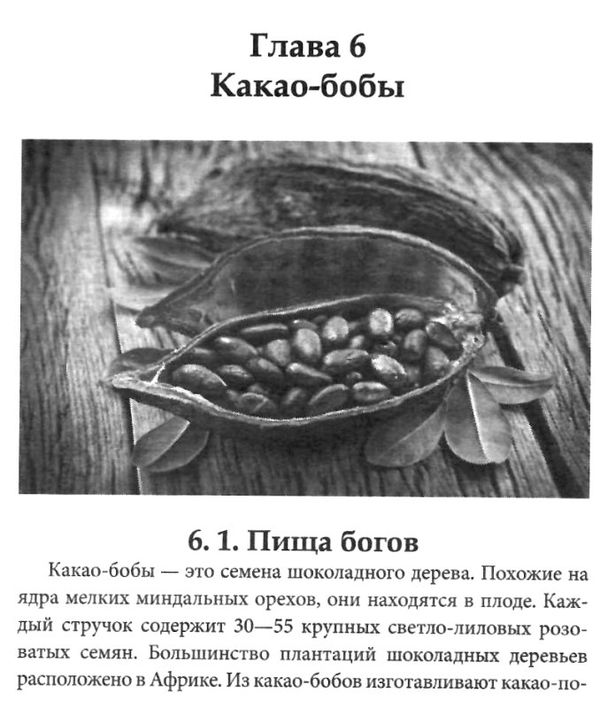 оздоравливаемся при помощи суперфудов 9786177588435 Ціна (цена) 34.50грн. | придбати  купити (купить) оздоравливаемся при помощи суперфудов 9786177588435 доставка по Украине, купить книгу, детские игрушки, компакт диски 5