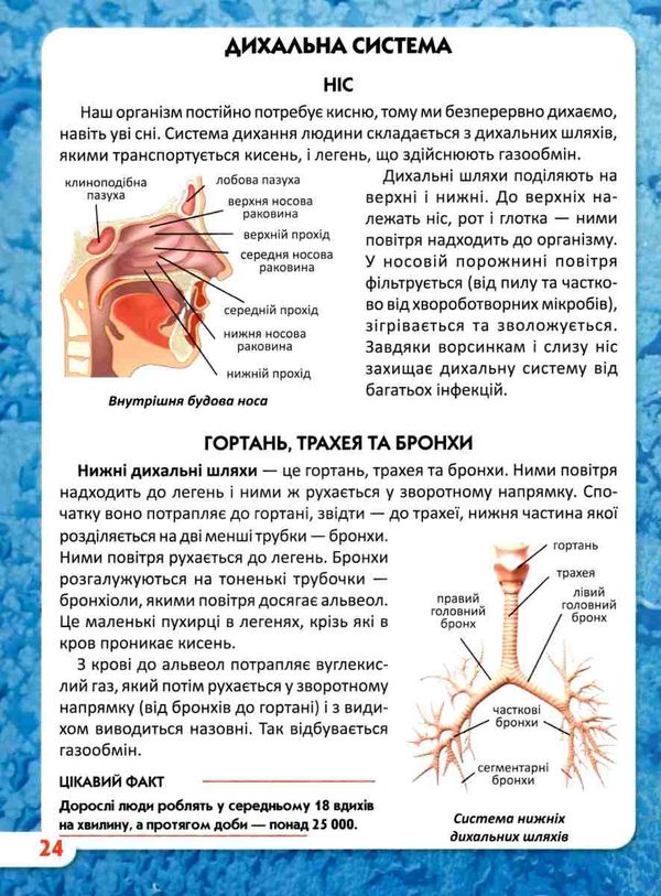 світ навколо нас тіло людини книга Ціна (цена) 146.00грн. | придбати  купити (купить) світ навколо нас тіло людини книга доставка по Украине, купить книгу, детские игрушки, компакт диски 5