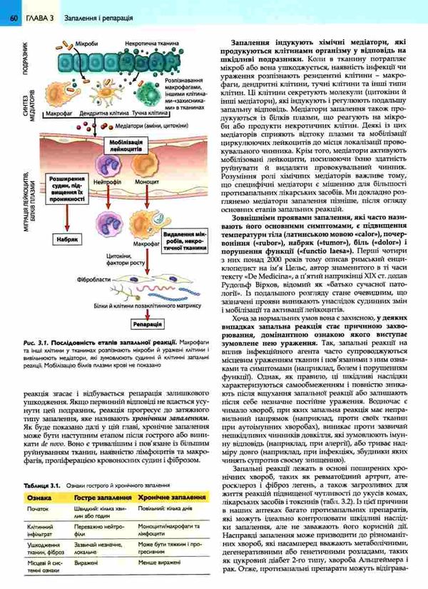 основи патології за роббінсом у 2х томах том 1 книга    Медицина Ціна (цена) 705.30грн. | придбати  купити (купить) основи патології за роббінсом у 2х томах том 1 книга    Медицина доставка по Украине, купить книгу, детские игрушки, компакт диски 5