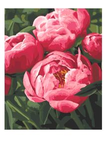 картина по номерам идейка   розпис по номерах ідейка  артикул КНО3049 найулюбле