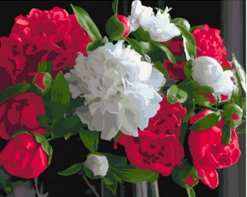 картина по номерам идейка роскошные пионы КНО3051 4823104313960 розпис за номерами ідейка купити цін