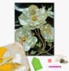 Алмазна мозаїка 25х25 BH004 Білі квіти brushme Брашми Ціна (цена) 162.50грн. | придбати купити (купить) Алмазна мозаїка 25х25 BH004 Білі квіти brushme Брашми доставка по Украине, купить книгу, детские игрушки, компакт диски 1 Алмазна мозаїка 25х25 BH004 Білі квіти brushme Брашми Ціна (цена) 162.50грн. | придбати купити (купить) Алмазна мозаїка 25х25 BH004 Білі квіти brushme Брашми доставка по Украине, купить книгу, детские игрушки, компакт диски 1