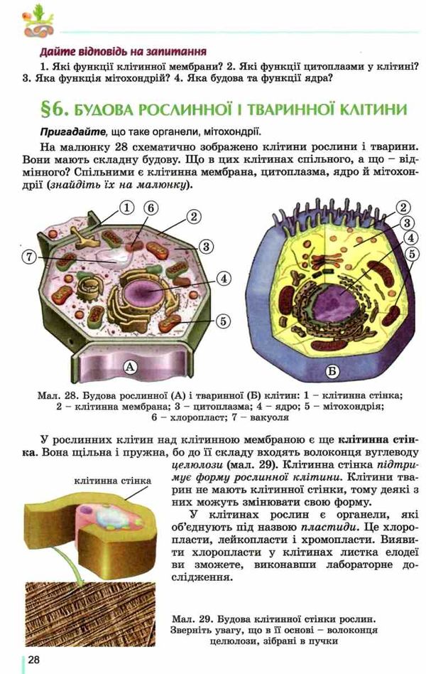 акція остапченко біологія 6 клас підручник Ціна (цена) 288.75грн. | придбати  купити (купить) акція остапченко біологія 6 клас підручник доставка по Украине, купить книгу, детские игрушки, компакт диски 5