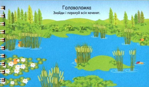 цифри 4+ на пружині Ціна (цена) 48.40грн. | придбати  купити (купить) цифри 4+ на пружині доставка по Украине, купить книгу, детские игрушки, компакт диски 2