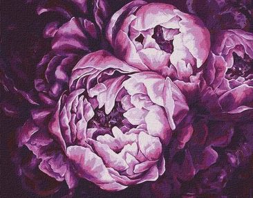 картина по номерам идейка   розпис по номерах ідейка  артикул КНО2076 буяння фа