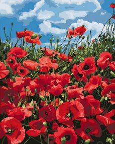 Розпис по номерах 40х50 КНО2287 Дивовижні маки "Ідейка"