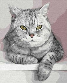 Розпис по номерах 40х50 КНО4201 Мій пухнастий друг "Ідейка"