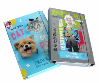 папка для праці картонна ламінована на гумці малюнок для дівчинки в асортименті а4 формат ""Leader"