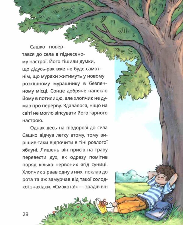 Сашко і чарівні кеди Ціна (цена) 220.60грн. | придбати  купити (купить) Сашко і чарівні кеди доставка по Украине, купить книгу, детские игрушки, компакт диски 4