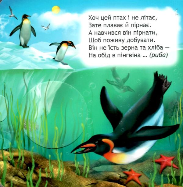 Картонки книжка-схованка Що у кого на обід? (коричнева) Магура Ціна (цена) 227.50грн. | придбати  купити (купить) Картонки книжка-схованка Що у кого на обід? (коричнева) Магура доставка по Украине, купить книгу, детские игрушки, компакт диски 2