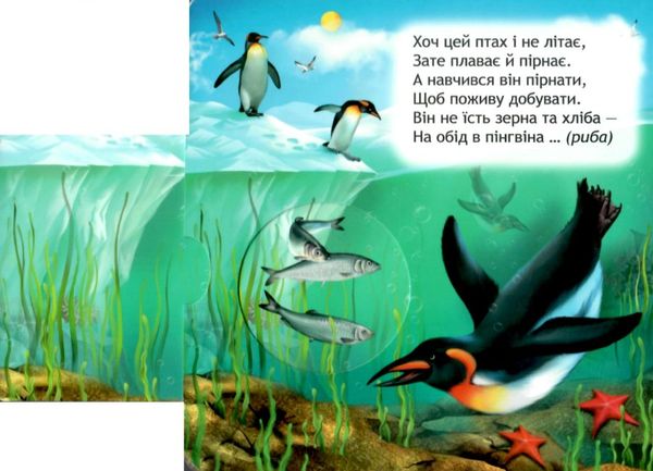 Картонки книжка-схованка Що у кого на обід? (коричнева) Магура Ціна (цена) 227.50грн. | придбати  купити (купить) Картонки книжка-схованка Що у кого на обід? (коричнева) Магура доставка по Украине, купить книгу, детские игрушки, компакт диски 3