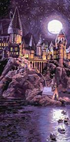 Розпис по номерах 40х80 KHO5265 Harry Potter Прибутття до Гогвортсу "Ідейка"