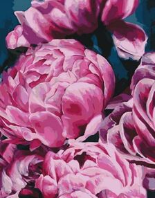 Розпис по номерах 40х50 КНО3002 Оксамитові півонії 2 "Ідейка"