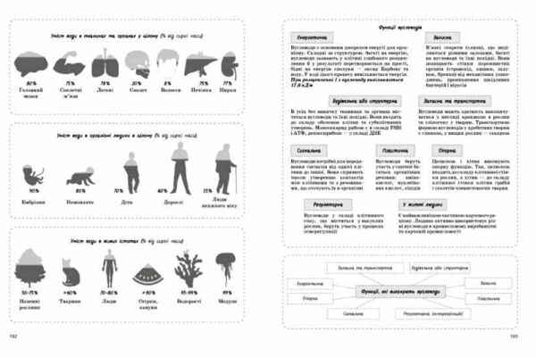 НМТ 2026 біологія тестовий зошит Ціна (цена) 159.20грн. | придбати  купити (купить) НМТ 2026 біологія тестовий зошит доставка по Украине, купить книгу, детские игрушки, компакт диски 4