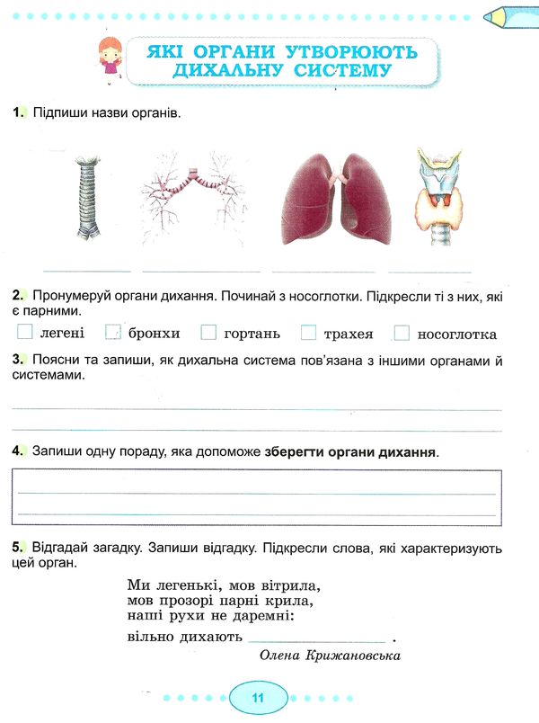 я досліджую світ робочий зошит 3 клас частина 2  НУШ нова українська школа Ціна (цена) 80.75грн. | придбати  купити (купить) я досліджую світ робочий зошит 3 клас частина 2  НУШ нова українська школа доставка по Украине, купить книгу, детские игрушки, компакт диски 2