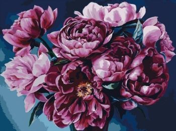 картина по номерам идейка   розпис по номерах ідейка  артикул КНО2082 освідченн