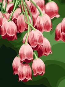 картина по номерам идейка   розпис по номерах ідейка  артикул КНО3040 чудові дз