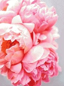 Алмазная мозаика 40*50 АМ4004 Розкішні півонії "Ідейка"