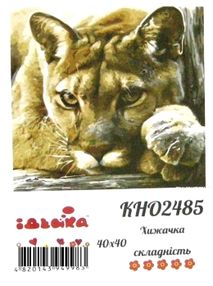 Розпис по номерах 40х40 КНО2485 Хижачка "Ідейка"