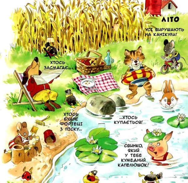 вчимо слова 88 чарівних віконець книга Ціна (цена) 309.40грн. | придбати  купити (купить) вчимо слова 88 чарівних віконець книга доставка по Украине, купить книгу, детские игрушки, компакт диски 3