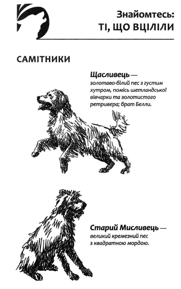 зграя спорожніле місто книга 1 Ціна (цена) 209.90грн. | придбати  купити (купить) зграя спорожніле місто книга 1 доставка по Украине, купить книгу, детские игрушки, компакт диски 4