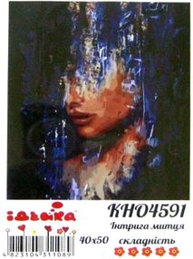 Розпис по номерах 40х50 КНО4591 Інтрига митця "Ідейка"