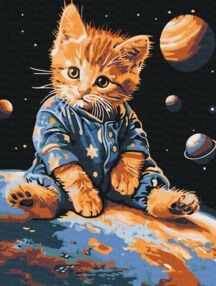 Розпис по номерах 30х40 КНО6646 Зоряний котик "Ідейка"