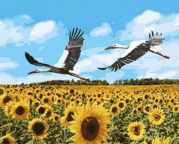 Розпис по номерах 40х50 КНО4182 Лелеки у небі "Ідейка"